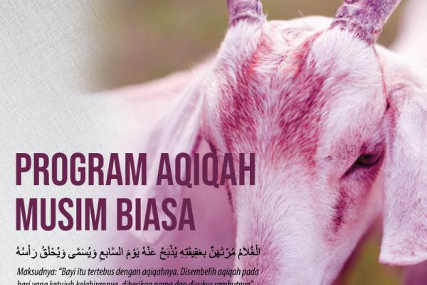 Media Social Marketing | Program Aqiqah